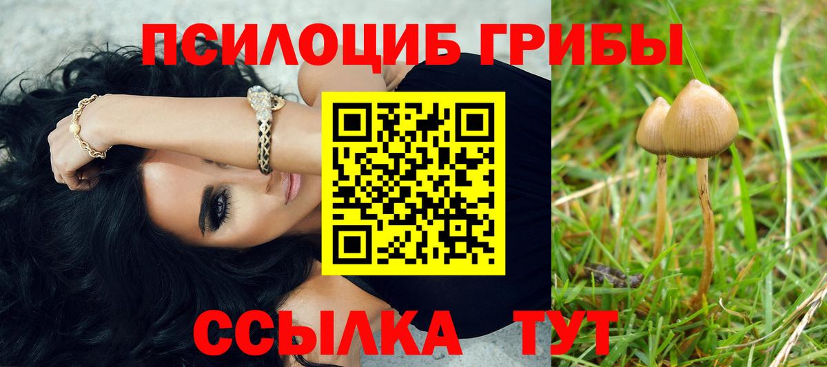 Галлюциногенные грибы GOLDEN TEACHER Каменск-Уральский