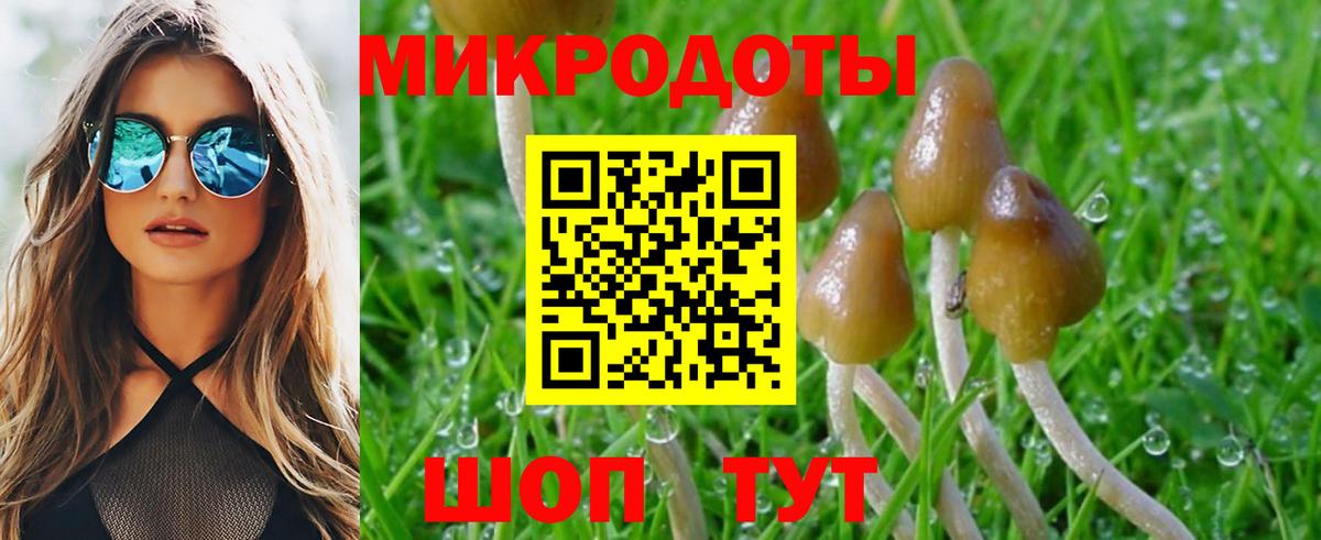 Каменск-Уральский  Псилоцибиновые грибы GOLDEN TEACHER  Вход с VPN 